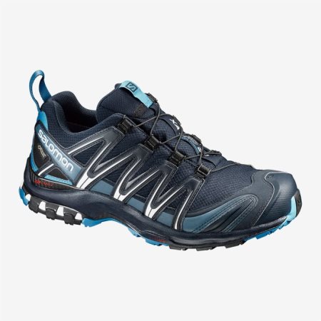 Zapatillas Trekking Salomon XA PRO 3D GTX Hombre Azul Marino (ES-QVMP)
